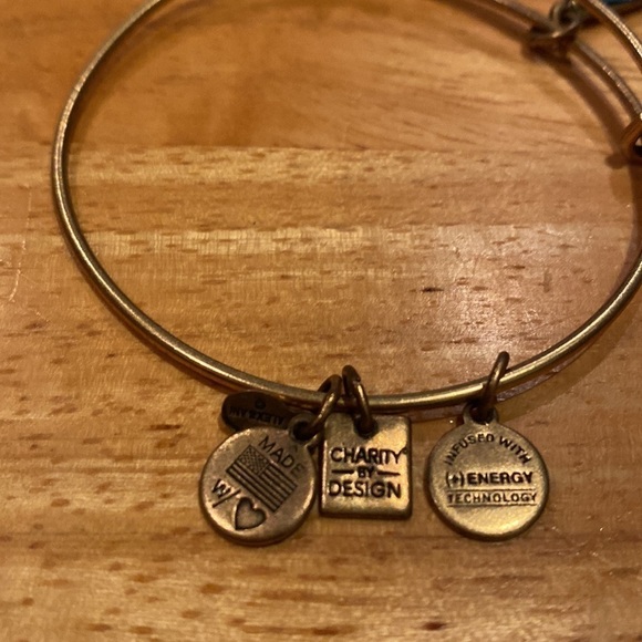 Alex and Ani Gold charity by design living water bracelet - Picture 3 of 3